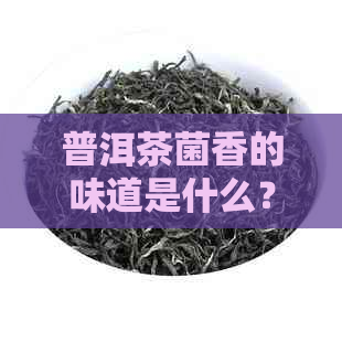 普洱茶菌香的味道是什么？