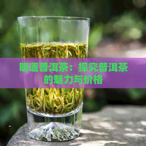 明道普洱茶：探究普洱茶的魅力与价格