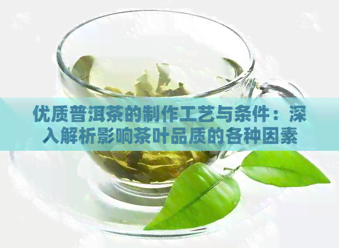 优质普洱茶的制作工艺与条件：深入解析影响茶叶品质的各种因素