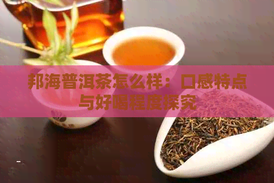 邦海普洱茶怎么样：口感特点与好喝程度探究