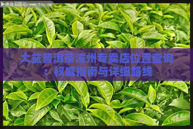 大益普洱茶漳州专卖店位置查询：权威指南与详细路线