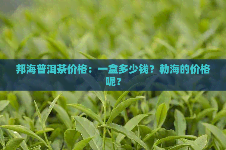 邦海普洱茶价格：一盒多少钱？勃海的价格呢？