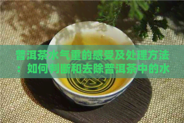 普洱茶水气重的感受及处理方法：如何判断和去除普洱茶中的水气？