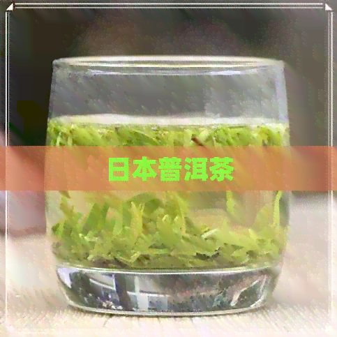 普洱茶