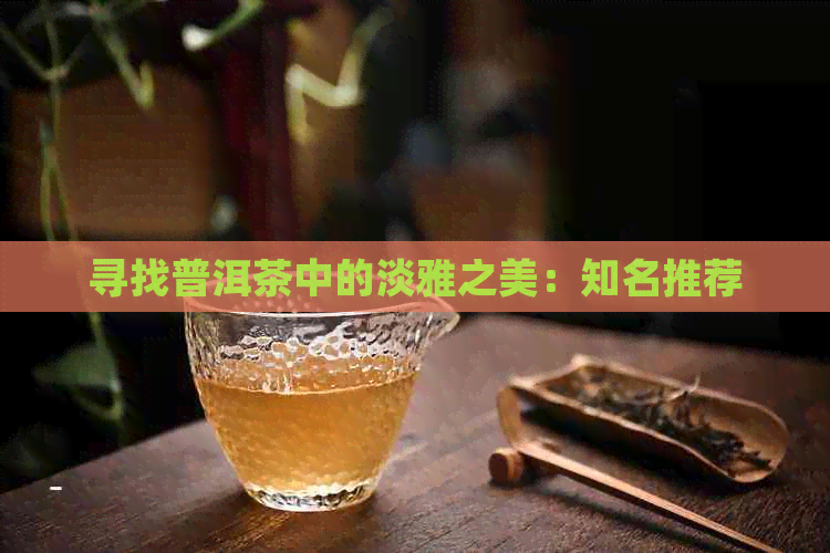 寻找普洱茶中的淡雅之美：知名推荐