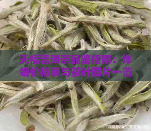 天福普洱茶品鉴指南：详细价格表与茶叶图片一览