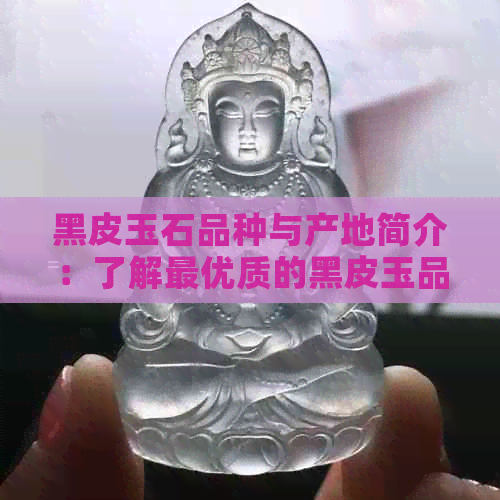 黑皮玉石品种与产地简介：了解更优质的黑皮玉品种