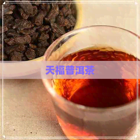 天福普洱茶