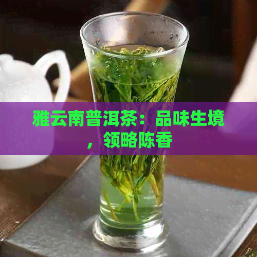 雅云南普洱茶：品味生境，领略陈香