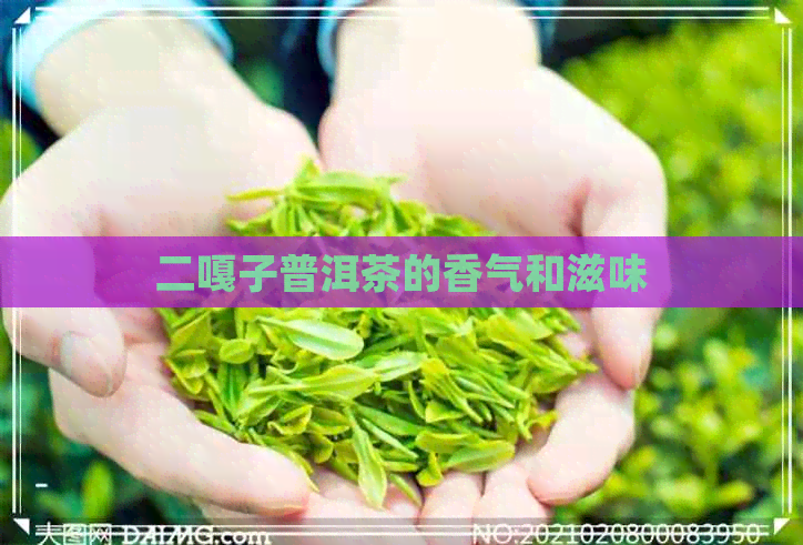 二嘎子普洱茶的香气和滋味