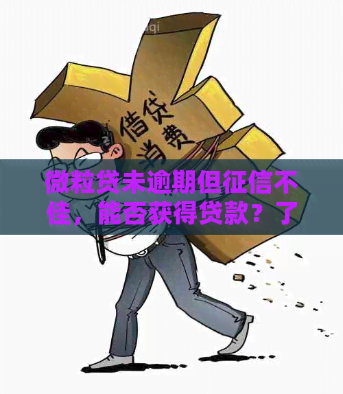 微粒贷未逾期但不佳，能否获得贷款？了解解决方案和影响因素