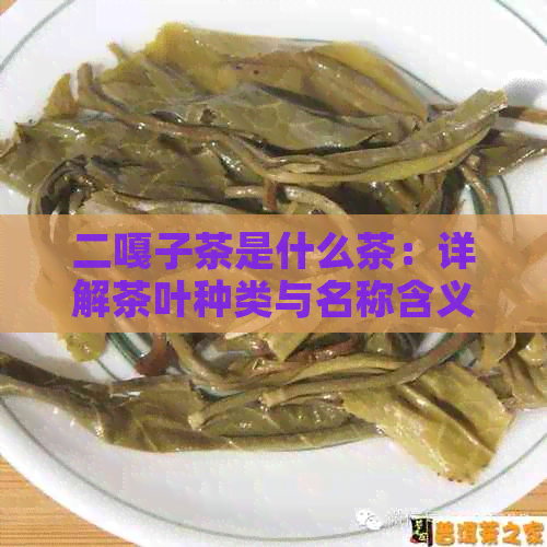 二嘎子茶是什么茶：详解茶叶种类与名称含义