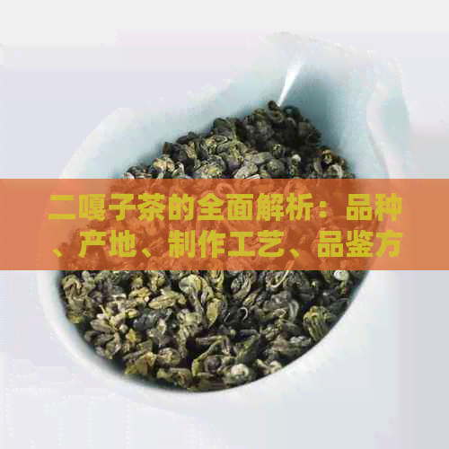 二嘎子茶的全面解析：品种、产地、制作工艺、品鉴方法及功效一文详解