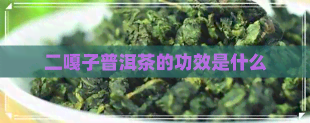 二嘎子普洱茶的功效是什么