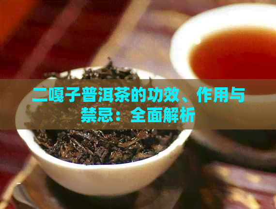 二嘎子普洱茶的功效、作用与禁忌：全面解析