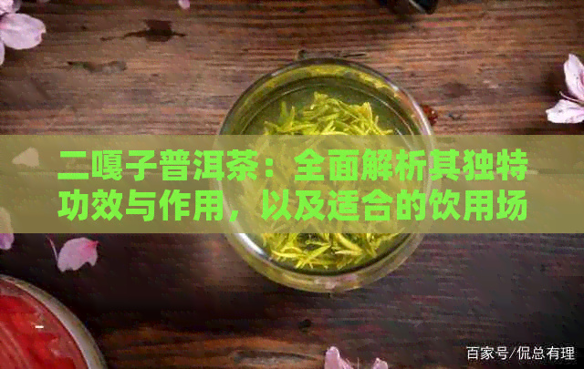 二嘎子普洱茶：全面解析其独特功效与作用，以及适合的饮用场景