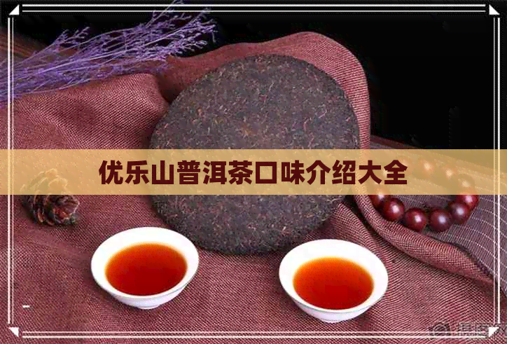 优乐山普洱茶口味介绍大全