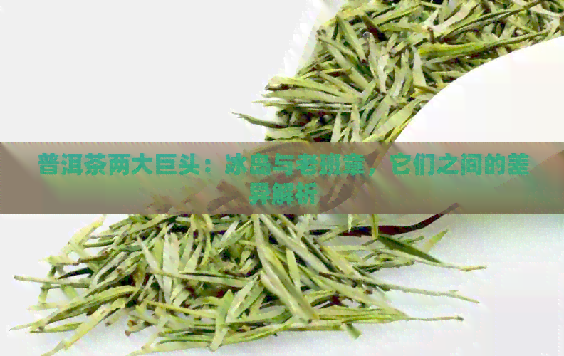 普洱茶两大巨头：冰岛与老班章，它们之间的差异解析