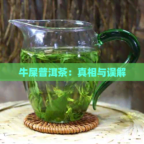 牛屎普洱茶：真相与误解