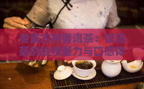 老寨古树普洱茶：拔玛茶的独特魅力与口感体验