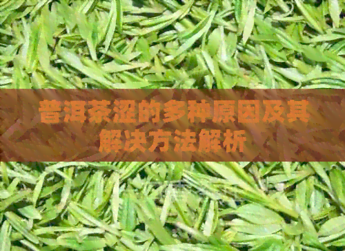 普洱茶涩的多种原因及其解决方法解析