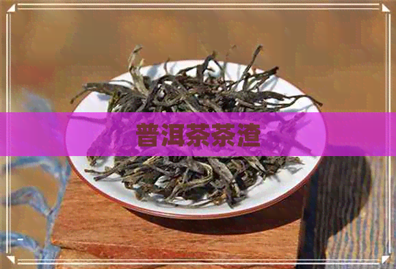 普洱茶茶渣