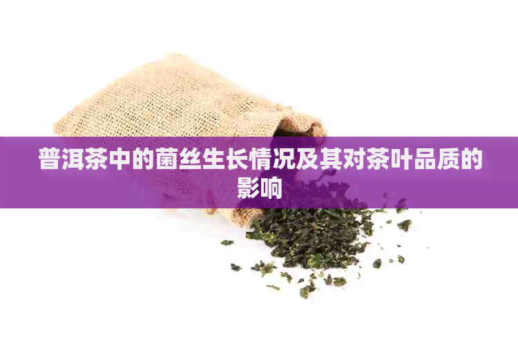 普洱茶中的菌丝生长情况及其对茶叶品质的影响