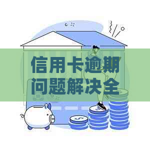 信用卡逾期问题解决全指南：怎么办？还能用吗？信用使用有何影响？