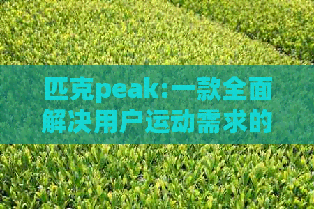 匹克peak:一款全面解决用户运动需求的高品质运动鞋