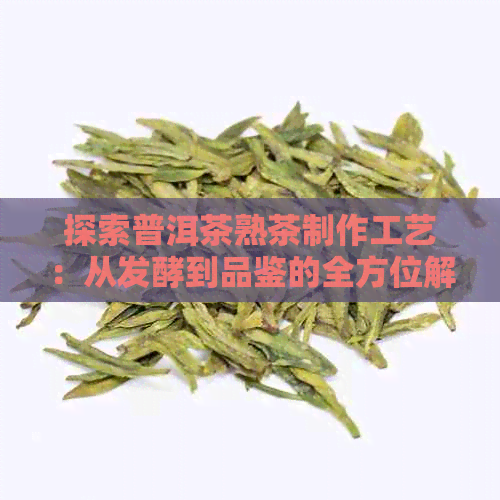 探索普洱茶熟茶制作工艺：从发酵到品鉴的全方位解析