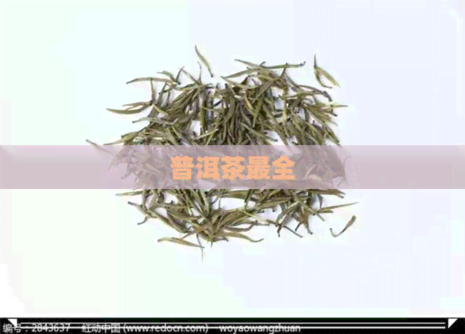 普洱茶最全