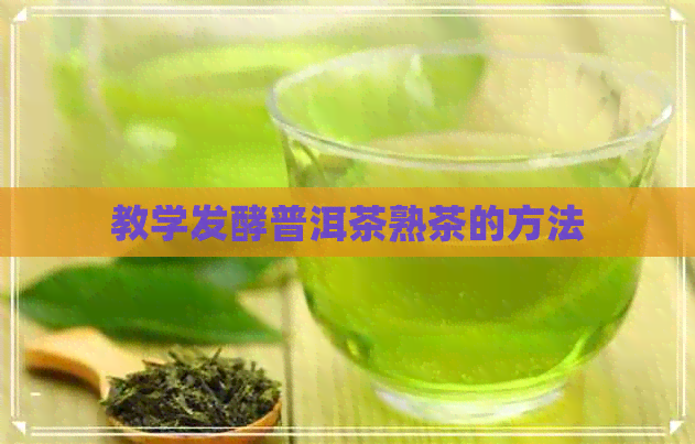 教学发酵普洱茶熟茶的方法