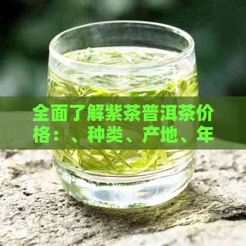 全面了解紫茶普洱茶价格：、种类、产地、年份等综合查询指南