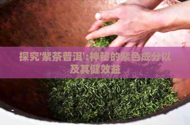 探究'紫茶普洱':神秘的紫色成分以及其健效益