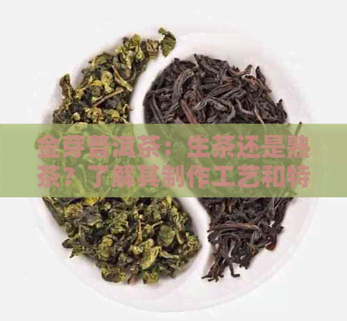 金芽普洱茶：生茶还是熟茶？了解其制作工艺和特点以帮助您做出选择