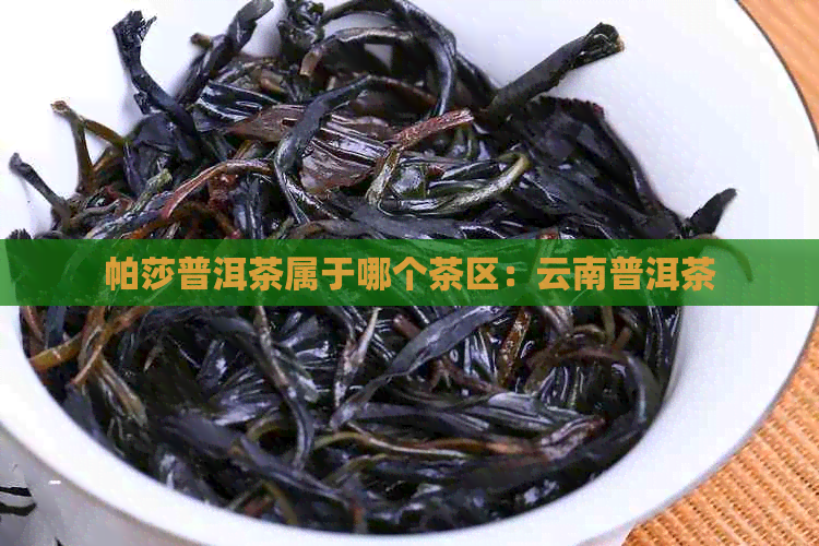 帕莎普洱茶属于哪个茶区：云南普洱茶