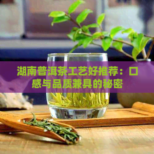 湖南普洱茶工艺好推荐：口感与品质兼具的秘密