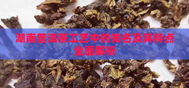 湖南普洱茶工艺中的知名及其特点全面解析