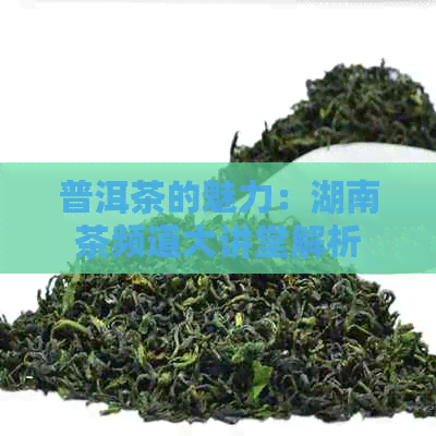 普洱茶的魅力：湖南茶频道大讲堂解析