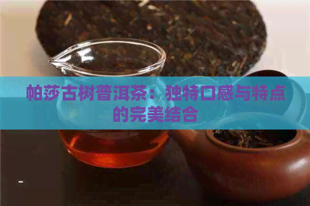 帕莎古树普洱茶：独特口感与特点的完美结合