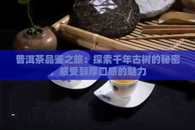 普洱茶品鉴之旅：探索千年古树的秘密，感受醇厚口感的魅力