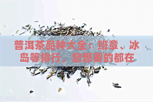 普洱茶品种大全：班章、冰岛等排行，您想要的都在这里！