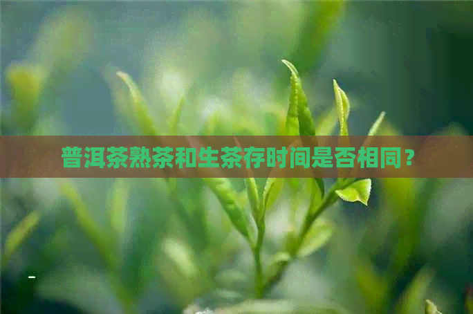 普洱茶熟茶和生茶存时间是否相同？