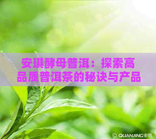 安琪酵母普洱：探索高品质普洱茶的秘诀与产品系列