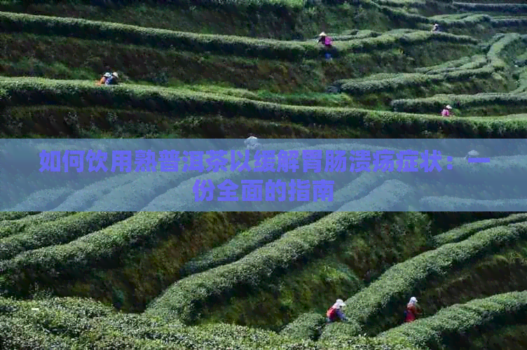 如何饮用熟普洱茶以缓解胃肠溃疡症状：一份全面的指南