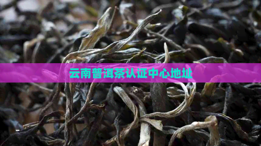 云南普洱茶认证中心地址