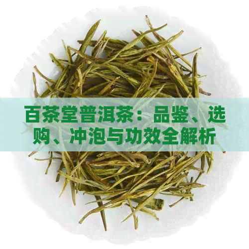 百茶堂普洱茶：品鉴、选购、冲泡与功效全解析，让你成为普洱茶专家！