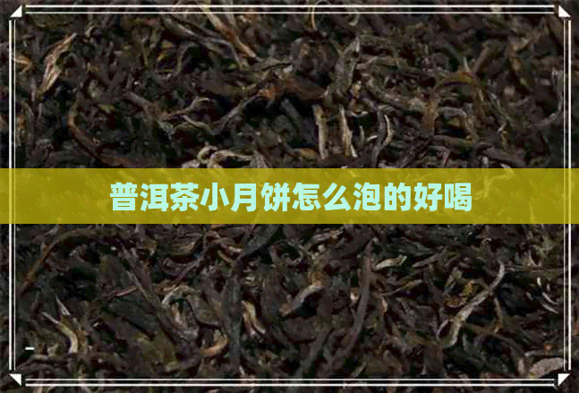 普洱茶小月饼怎么泡的好喝