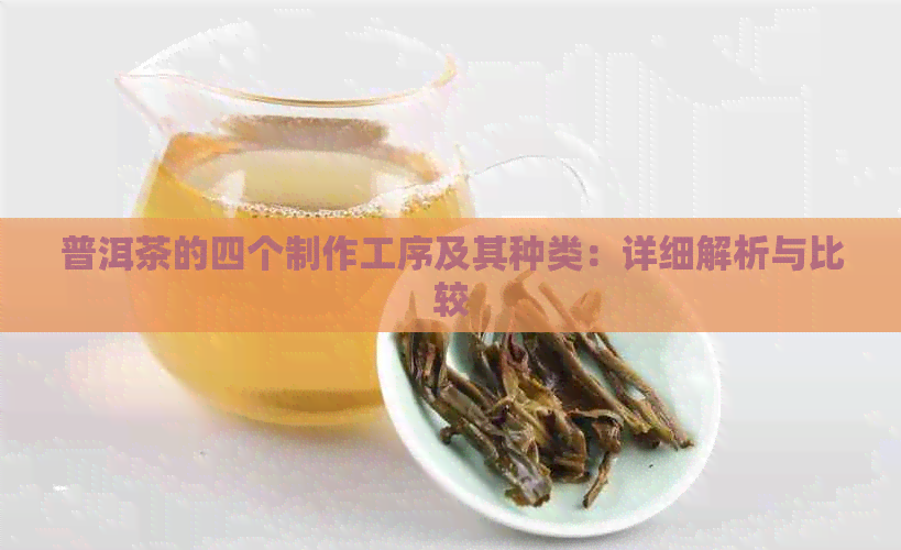 普洱茶的四个制作工序及其种类：详细解析与比较