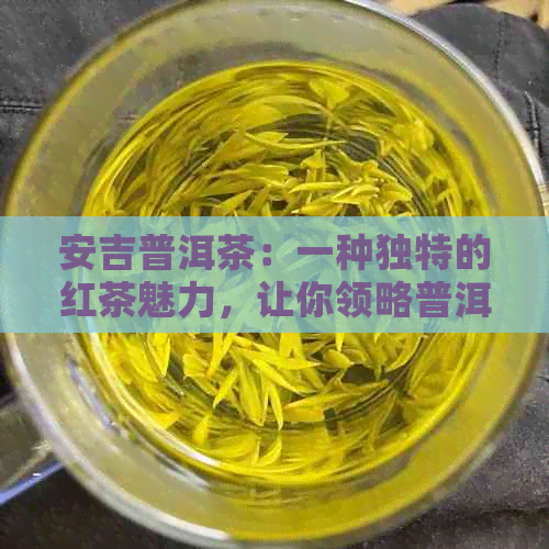 安吉普洱茶：一种独特的红茶魅力，让你领略普洱与绿茶的完美融合